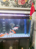 魚(yú)之眼魚(yú)缸氣泡條氧氣條氣石瀑布式氣泡石增氧頭氣簾增氧條自重沉底 120cm砂條和氣泵套餐 曬單實(shí)拍圖