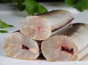 鹿凌青 鮮活鰻魚(yú) 白鰻魚(yú) 現捕現發(fā) 冰鮮海鰻 海鮮水產(chǎn) 生鮮魚(yú)類(lèi) 【鮮活河鰻】1條(1.4-1.5斤/條) 曬單實(shí)拍圖