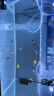 森森 超白玻璃小鱼缸HWK-600P裸缸款水草缸金鱼缸小型水族箱水草缸  实拍图