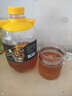 沃斯特鮮啤酒艾爾皮爾森大師精釀原漿烈性1.5L/桶 清爽全麥純生扎 艾爾原漿鮮啤 1.5L 4桶 組合裝 曬單實(shí)拍圖