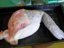 饞咄咄鱷魚(yú)活體現殺整條鱷魚(yú)腿 鱷魚(yú)尾 鱷魚(yú)掌 鱷魚(yú)身段整只鱷魚(yú)肉 兩斤腿（包新鮮）砍塊 曬單實(shí)拍圖