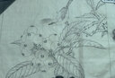 【單張活頁2盒】宋代花鳥小品畫1+2李曉明編繪經典名作賞飾臨習作品放大工筆畫底稿白描畫稿臨摹畫冊國畫初學技法新手學畫步驟詳解 曬單實拍圖