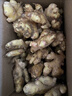 【順豐】云南小黃姜 有機生姜 沙地老姜水洗月子姜 調味有機蔬菜 【有機小黃姜】2500g 曬單實(shí)拍圖