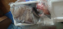 海澤鮮 鮮活帝王蟹 俄羅斯活凍帝王蟹海鮮禮盒生鮮禮包 帝王蟹3-4斤+花龍1斤*2  送禮盒 曬單實(shí)拍圖