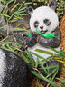 半語太陽能兔子燈戶外發(fā)光兔子防水仿生動(dòng)物燈公園造型燈庭院裝飾燈 熊貓 A款太陽能-暖光【一只】 曬單實(shí)拍圖