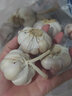 帆兒莊園當(dāng)季干大蒜頭精選食用蒜新鮮大蒜蔬菜產(chǎn)地直發(fā)自種 帶箱4.5kg 曬單實(shí)拍圖
