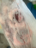 【順豐快遞】冷凍包油羊腰子非原油羊腰子新鮮羊油包羊腰子 2斤羊油腰 曬單實(shí)拍圖
