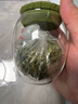 美斯尼 加厚玻璃茶葉罐醒茶罐密封罐儲(chǔ)物罐家用防潮儲(chǔ)藏罐茶具配件 春華（綠色） 曬單實(shí)拍圖