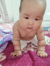 君乐宝(JUNLEBAO)乐铂2段较大婴儿配方奶粉(6-12个月龄)170g  实拍图