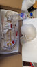 85CM人体骨骼模型骨架人体模型成人小白骷髅教学脊椎全身骷髅标本带脊柱神经带椎间盘 肌肉着色韧带 C款85cm立式骨骼椎间盘肌肉着色 实拍图