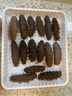 老尹家淡干海參5年參秋季滋補深海底播刺身干貨家庭自用 試吃裝50g 13-14頭 50g*1袋 曬單實拍圖