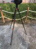 印迹（IFOOTAGE）羚羊三脚架TC3B便携单反相机三脚架专业摄影摄像碳纤维扳扣三脚架小巧TC3B+ K3液压云台 晒单实拍图