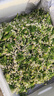 25年頭茬韭菜花新鮮蔬菜現(xiàn)摘現(xiàn)發(fā)冰鮮到家韭花新鮮韭菜花韭花花菜 4斤 曬單實拍圖