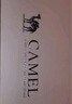 駱駝（CAMEL）2025夏季新款真皮男士商務(wù)涼拖鞋兩穿透氣爸爸沙灘鞋 G13M211073 棕色 38 曬單實(shí)拍圖