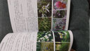 中國科學(xué)院北京植物園圖譜 曬單實(shí)拍圖