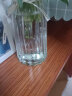 泰西丝 玻璃花瓶创意水培植物玻璃花瓶透明水养绿萝花盆容器插花瓶圆球形鱼缸器皿 24(大折纸)透明 中等 不含绿植 实拍图