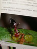 常見蜻蜓野外識別手冊 重慶大學(xué)出版社 張浩淼 著 好奇心書系·野外識別手冊 新華正版書籍包郵 曬單實拍圖
