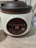 Bambetel班貝特德國品牌紫砂電燉鍋家用全自動(dòng)煲湯鍋燉湯鍋養生輔食煮粥鍋 紫砂款4-7人32cm 5L 曬單實(shí)拍圖