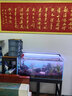 旺園興魚缸造景樹定植樹沉木活體裝飾水草無(wú)需底沙魚缸造景增氧莫斯植物 (大號(hào))莫斯樹蘑菇林 曬單實(shí)拍圖