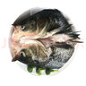 沢素灣千島湖大魚(yú)頭 胖頭魚(yú)花鰱魚(yú)鳙魚(yú) 剁椒魚(yú)頭 1.5-6kg禮 2.5kg 曬單實(shí)拍圖