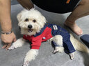 嬉皮狗（hipidog）狗狗衣服小型犬寵物秋冬保暖泰迪比熊博美可愛小狗四腳秋冬裝 紅色牛仔小熊 XL（建議體重11-15斤） 曬單實拍圖