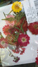 墨里萊干花書簽干花diy手工制作材料包干花花瓣壓花材料樹葉植物標本押 干花（花火） 曬單實拍圖