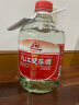 九江双蒸 豉香型白酒 29.5度浸泡酒5.1L 广东米酒浸泡青梅酒送礼白酒 实拍图