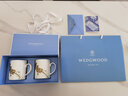 WEDGWOOD[結(jié)婚禮物]王薇薇VeraWang燦金花園馬克杯咖啡杯實(shí)用水杯送人禮燦金花園馬克杯 2個(gè) 450ml 曬單實(shí)拍圖