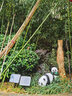 半語太陽能兔子燈戶外發(fā)光兔子防水仿生動(dòng)物燈公園造型燈庭院裝飾燈 熊貓 A款太陽能-暖光【一只】 曬單實(shí)拍圖