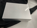 XSHARK鯊魚(yú) 莫代爾冰絲透氣男士?jì)妊澞?四角平角加肥加大褲衩子男式褲頭 輕奢黑+紫霧灰+曉霧灰+石墨灰 4條 XL （130斤-160斤） 曬單實(shí)拍圖