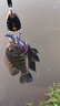 LURESKY鋁合金甲殼蟲(chóng)微物控魚(yú)器mini迷你小號路亞鉗pe線(xiàn)釣魚(yú)剪刀剪線(xiàn)器 黑色 控魚(yú)器(帶失手繩) 曬單實(shí)拍圖