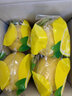 攸竹 海南青檸檬無(wú)籽香水檸檬當季新鮮黃檸檬水果皮薄多汁精品大果 【黃檸檬】 2斤 曬單實(shí)拍圖