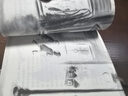一百條裙子 三四年級(jí)閱讀的課外書(shū) 正版 自營(yíng)同倉(cāng)發(fā)貨 京東配送包郵書(shū)新蕾出版社 升級(jí)版 國(guó)際大獎(jiǎng)小說(shuō)小學(xué)生閱讀課外書(shū)籍3-4年級(jí)兒童讀物故事書(shū) 正版 曬單實(shí)拍圖