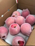 慶陽蘋果 QINGYANG APPLE紅富士蘋果新鮮蘋果人類第四個蘋果當(dāng)季現(xiàn)摘新鮮富士水果禮盒脆甜 慶陽蘋果 一級果 18-20枚 11斤 曬單實(shí)拍圖