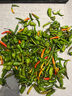 味小仙 新鮮小米椒 現摘青紅小米辣椒朝天椒蔬菜生鮮 3斤青小米辣 曬單實(shí)拍圖