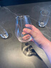 雷仕頓雞尾酒杯酒吧柯林杯莫吉托mojito杯創(chuàng)意調酒水晶玻璃網紅套裝杯子 思慕雪杯矮款  小號 330ml 曬單實拍圖
