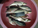 藍旗魚(yú) 新品遠攻2代2.28 2.44 2.6 2.7米遠投翹嘴鱸魚(yú)鳡魚(yú)路亞竿全fuji配件 S-86ML-2.6m-直柄2節 曬單實(shí)拍圖