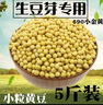 以琛發(fā)豆芽專用小粒黃豆種子生黃豆芽豆做納豆農(nóng)家自種690小金黃5斤裝 小粒黃豆5斤2500g 曬單實拍圖