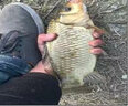 拓水黑坑釣魚(yú)竿超硬超輕黑棍大物飛磕19調手桿十大品羅非竿臺釣竿 3m 8H超硬19調（直飛12斤） 曬單實(shí)拍圖