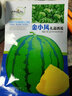 雜交早熟穩產(chǎn)黃心西瓜種子高糖超甜黃瓤特小禮品型西瓜種籽四季播 黃玉玲瓏西瓜種籽 公司出廠(chǎng)原裝二袋/(約46粒) 曬單實(shí)拍圖