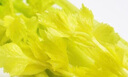 蔬果哆 新鮮蔬菜 青島特產(chǎn) 平度 馬家溝 空心芹菜 玻璃脆1kg(兩斤)禮盒 曬單實(shí)拍圖