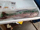 吉林松原胖頭魚(yú)【順豐冷鏈】六鮮釣海 鮮活速凍冬捕魚(yú) 特大超大花鰱東北松原新鮮春節送禮過(guò)年禮盒 7-8斤  1條 禮盒裝 曬單實(shí)拍圖