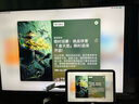 Apple/蘋果 iPad mini6 平板電腦8.3英寸 粉色  256GB WLAN版 全新原封未激活 海外版 曬單實拍圖