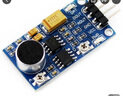 丟石頭 LM386聲音傳感器 音頻放大聲音檢測強度判斷模塊 數字量模擬量輸出 曬單實(shí)拍圖