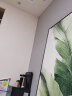 乐图（LETU）英国乐图(LETU)墙纸壁纸/墙布胶水 基膜绿色环保天然植物湿胶辅料 基膜+墙纸环保湿胶 实拍图