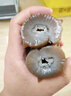 參百味大連直發(fā)開袋即食海參野生底播遼參獨(dú)立包裝海鮮禮盒 1000g 18-24只 8S高品質(zhì) 曬單實(shí)拍圖
