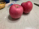櫻鮮煙臺(tái)紅富士蘋果新鮮當(dāng)季脆甜冰糖心水果時(shí)令水果禮盒裝整箱批發(fā) 【品質(zhì)溯源】5斤優(yōu)選果凈重4.5斤 嚴(yán)選特大果【單果80-85mm】 曬單實(shí)拍圖