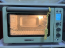 北鼎（Buydeem） 电烤箱 家用多功能小烤箱 全自动台式迷你 空气炸 烤鸡发酵 智能温控 一键操作入门级烤箱 31.5L 【浅衫绿】T535|7大功能|一键操作 31.5L 实拍图