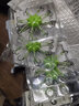萬聚王翻板鉤套裝伊勢尼爆炸鉤釣魚翻版防纏繞盤八爪勾夾餅魚鉤全套組合 11號鉤【一盒兩板】 曬單實拍圖