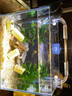 森森魚缸生態(tài)水草缸小型超白玻璃熱帶魚水族箱迷你桌面金魚缸帶底座 280裸缸+HBL301+燈ADP200 曬單實(shí)拍圖